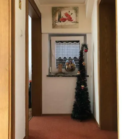 Apartment Ferienwohnung Danzl