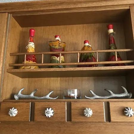 Ferienwohnung Danzl 韦兴