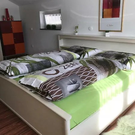 Apartment Ferienwohnung Danzl